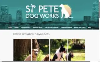 St. Pete Dog Works website