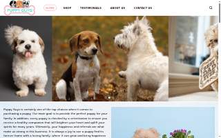 Puppy guys FL