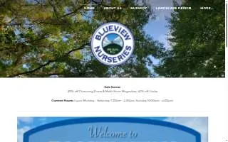Bluewater Pressure Cleaning LLC website