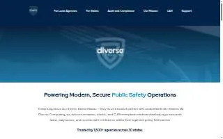 Diverse Computing, Inc. website