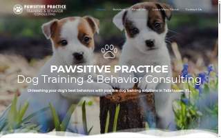 Pawsitive Practice Training & Behavior Consulting