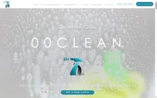 00 Clean of Tampa website