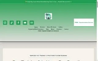 Tampa Bay Canine Retreat website