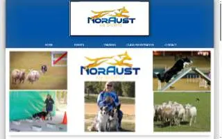 NorAust of The Villages website