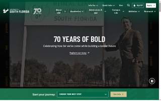 USF Information Technology