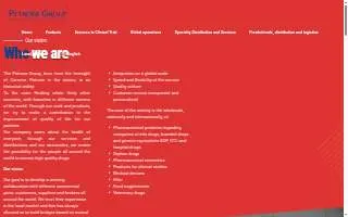 Petrone Technology Group website