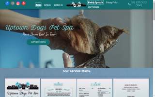 Uptown Dogs Pet Spa