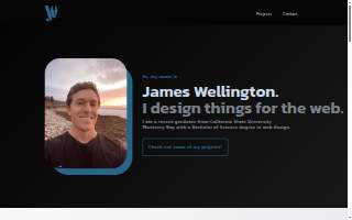 Wellington Web Design, LLC