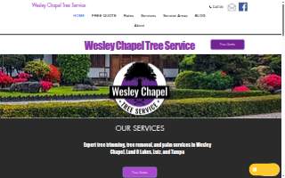 Wesley Chapel Tree Service