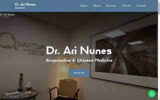 Ari Nunes Acupuncture