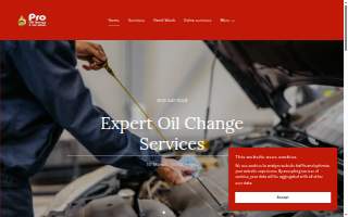 Pro Oil Change & Car Wash