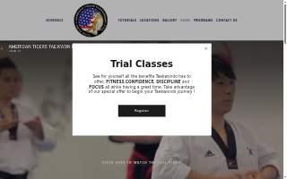 American Tigers Martial Arts