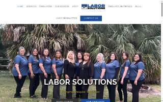 Labor Solutions, Inc.