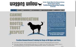 Wagging Willow