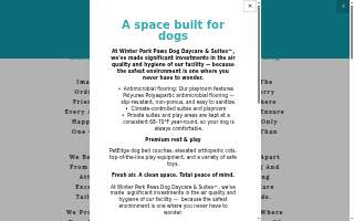 Winter Park Paws Dog Daycare & Suites