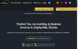 Henriquez Accounting & Tax Services LLC website