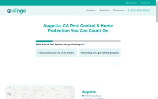 Cingo of Augusta