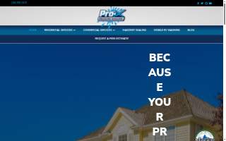 Pro x services
