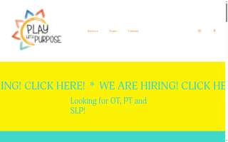 Play with Purpose Therapy, LLC