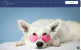 Ruffined Pet Wellness Club