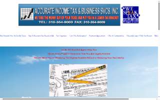 Accurate Income Tax Services and So Much More