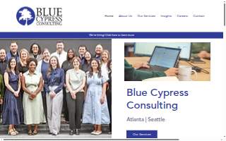 Blue Cypress Consulting, LLC