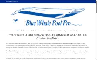 Blue Whale Pool Pro