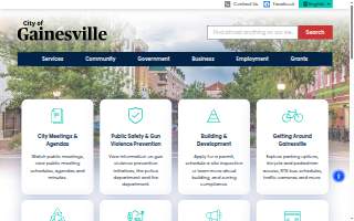 Gainesville Financial Services Inc