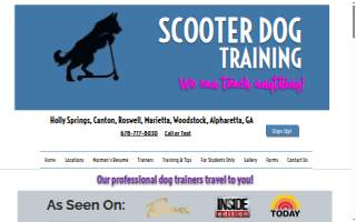 Scooter Dog Training