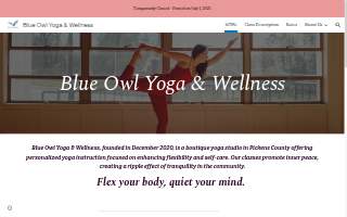 Blue Owl Yoga & Wellness