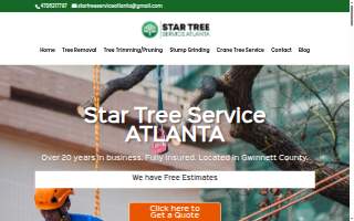 Star Tree Service Atlanta