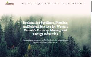 Tree Time Tree Services