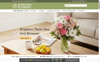 Dowling Party Rentals
