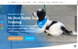 My Best Buddy Dog Training