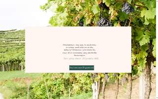 Paris Mountain Vineyards
