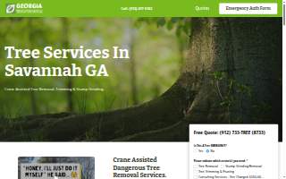 Georgia Tree Solutions Group, LLC