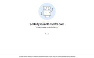Port City Animal Hospital