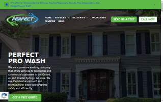 Perfect Pro Wash Powder Springs