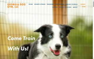 Georgia Dog Gym