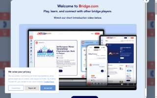 Bridge Tutoring & Educational Therapy