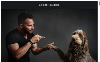 AV Dog Training