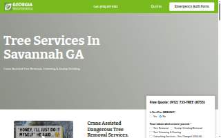 Georgia Tree Solutions Group, LLC