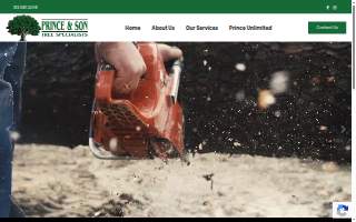 Prince and Son Tree Specialists