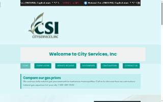 City Services Inc