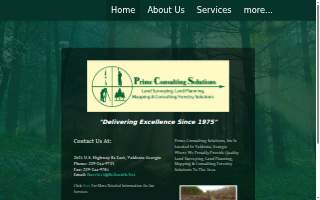 Prime Consulting Solutions