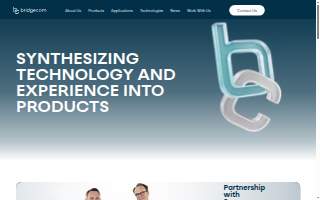 Bridgecom Real Security
