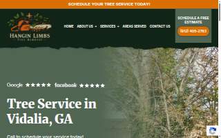 Hangin Limbs Tree Removal