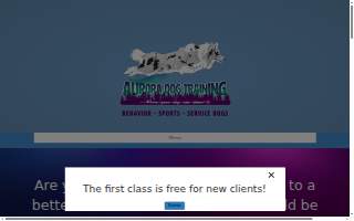 Aurora Dog Training - formerly Dacula Dog Training