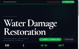 Restoration Pro Wash of Holly Springs