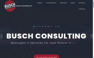 Busch Consulting website